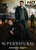 Sobrenatural Temporada 14 [720p]